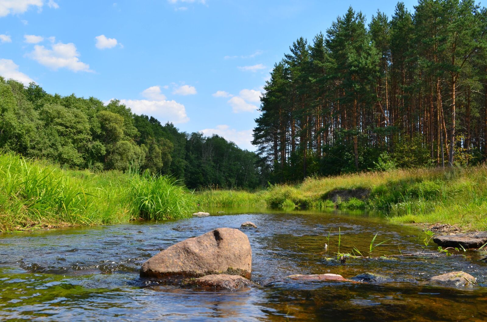 Nikon D5100 sample photo. Water, nature, river photography