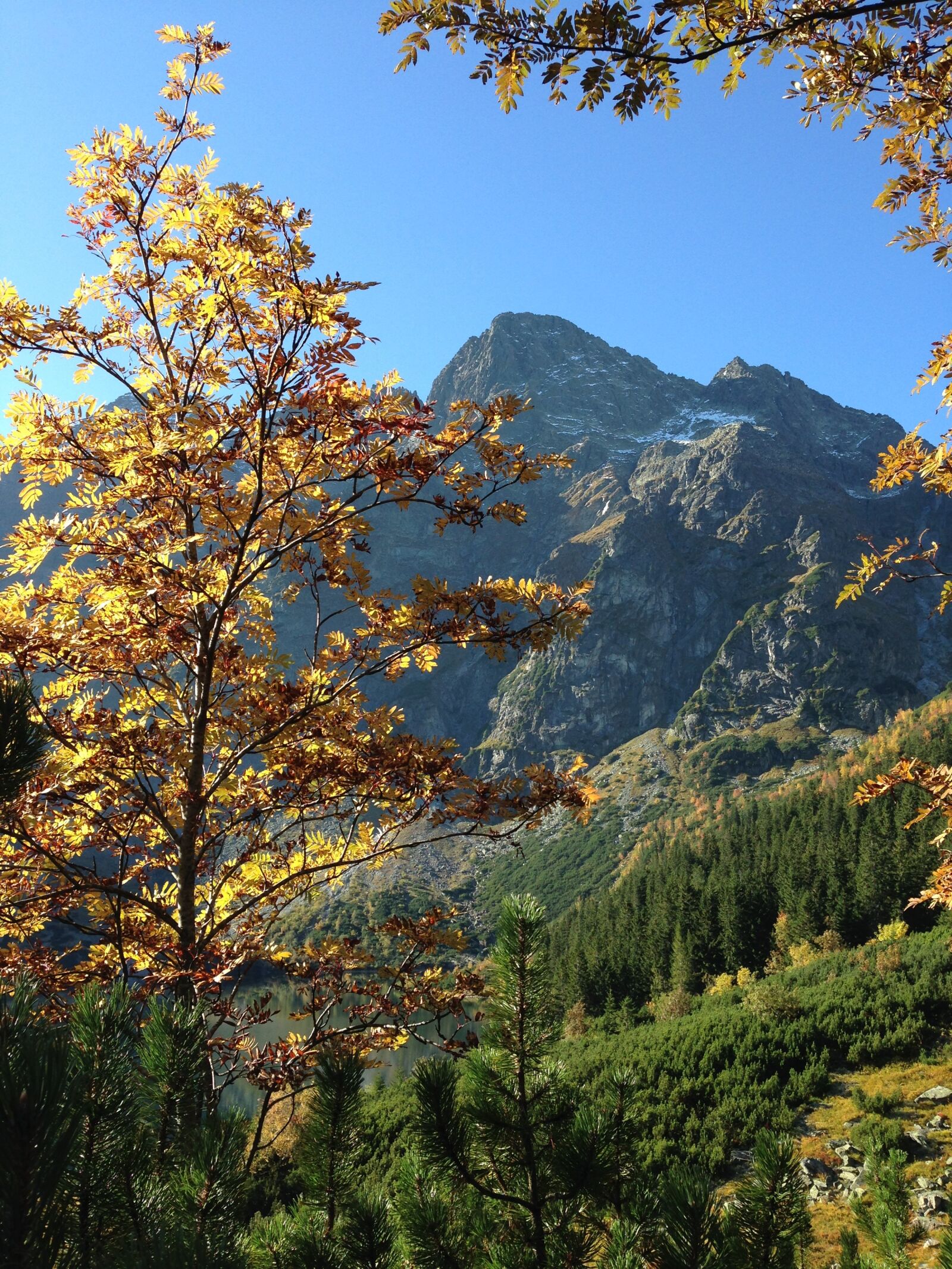 iPhone 5c back camera 4.12mm f/2.4 sample photo. Mountains, tatry, autumn photography