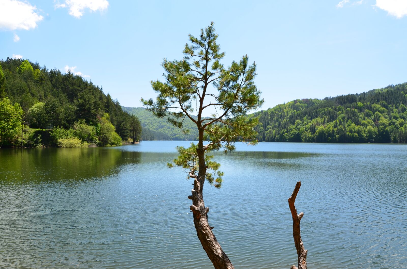Nikon D7000 sample photo. Water, nature, lake photography