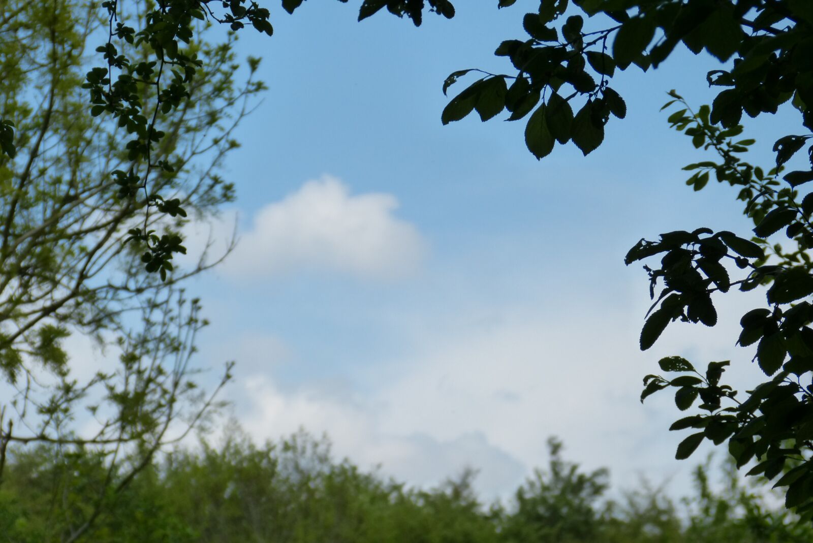 Panasonic Lumix DMC-FZ150 sample photo. Cloud, sky, sky blue photography