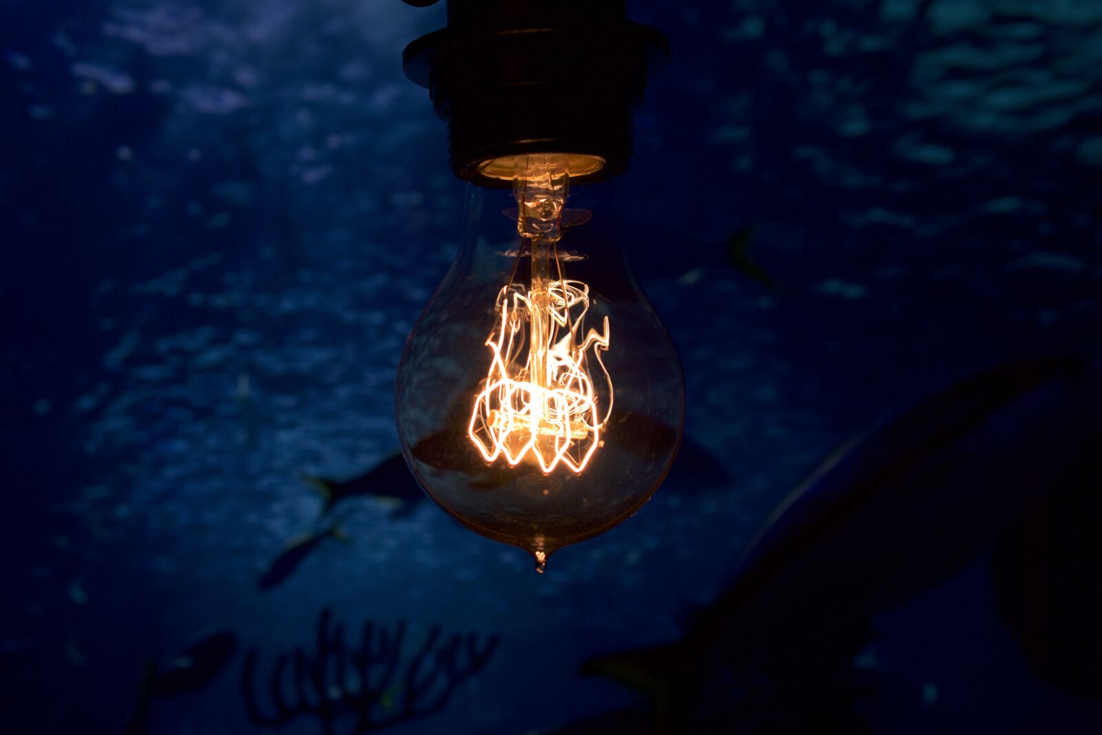 Nikon D5300 sample photo. Light bulb, filament, vintage photography