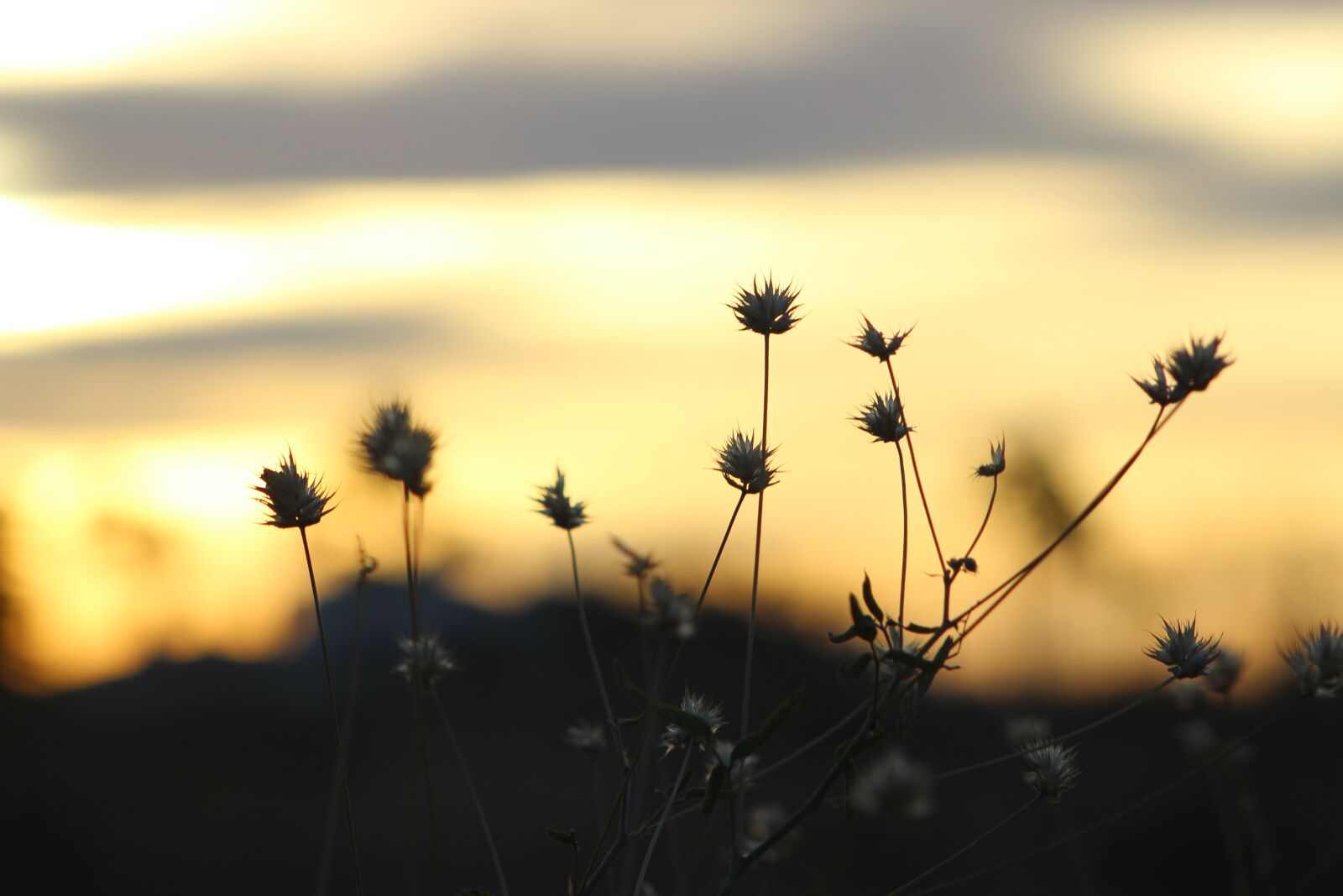 Canon EF 75-300mm f/4-5.6 sample photo. Cielo, life, light, luz photography