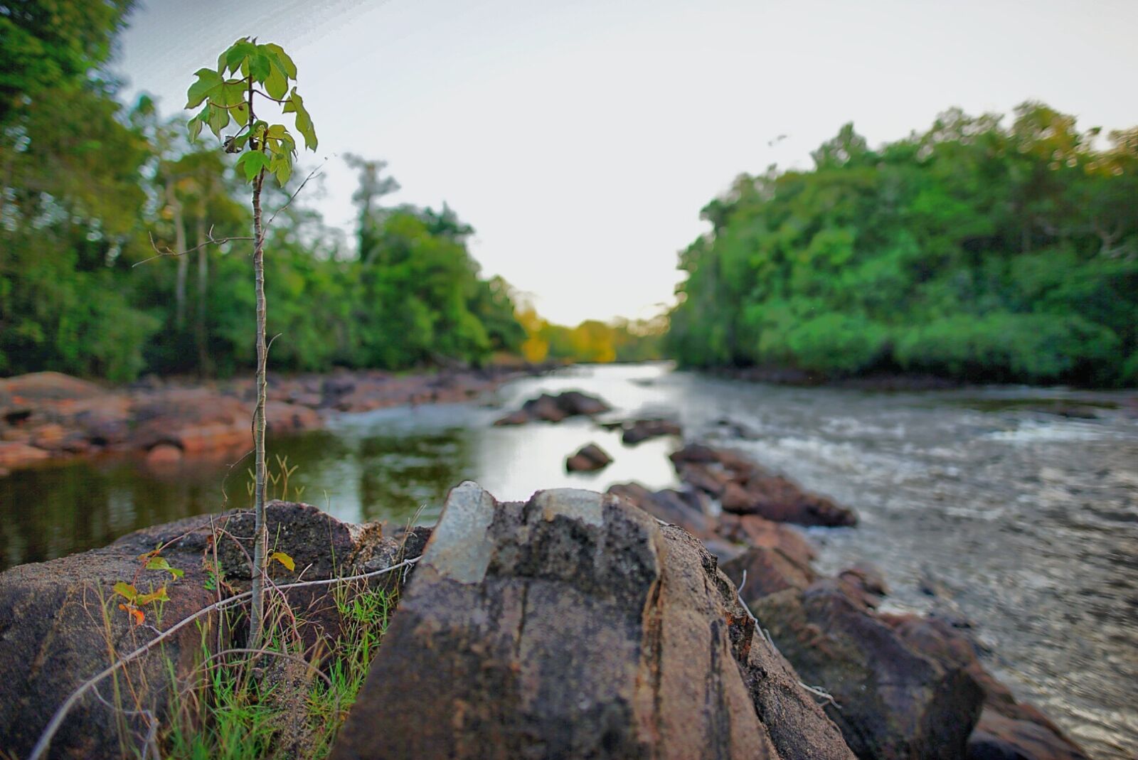 24mm F1.4 sample photo