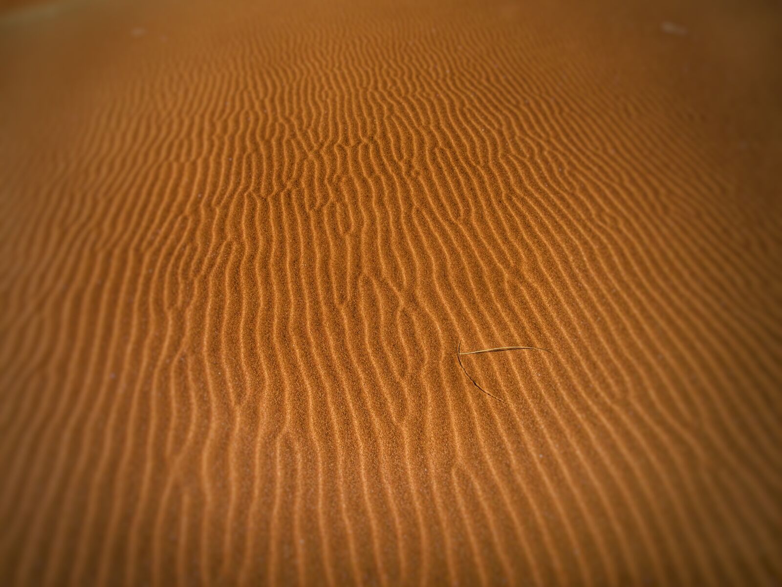 Canon PowerShot SX210 IS sample photo. Sand, dune, dunes, sand photography