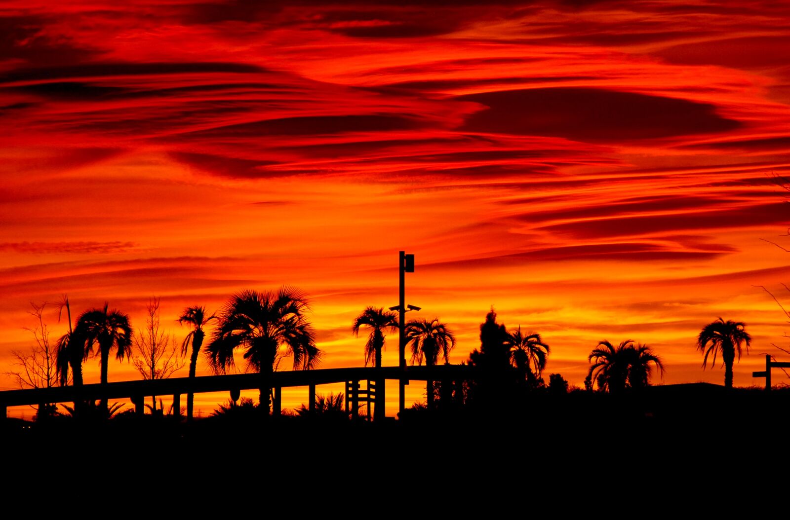 Nikon D40X sample photo. Landscape, palms, fire photography