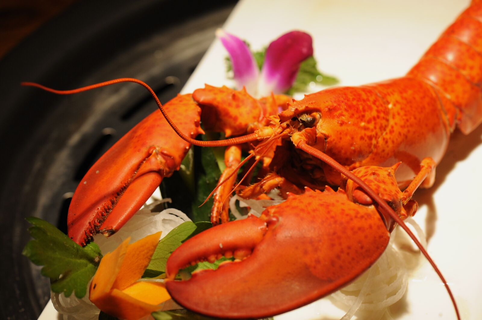 Nikon D700 sample photo. Lobster, lobster 1, lobster 2 photography