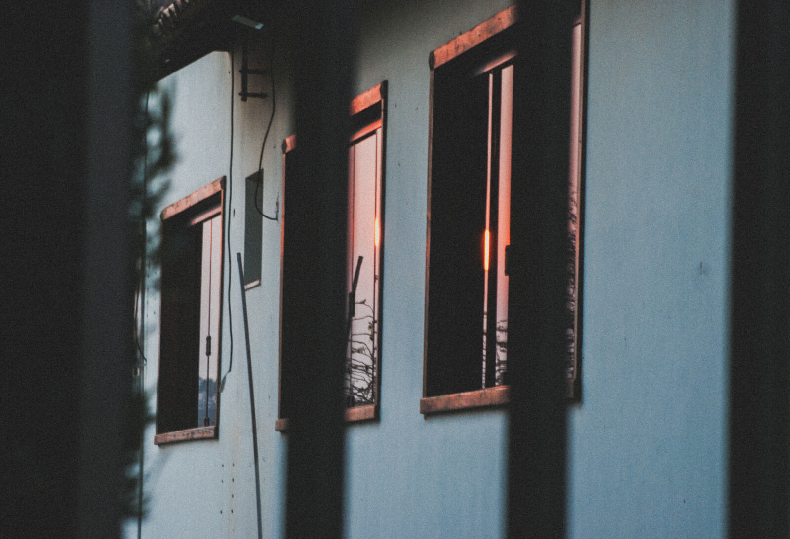 Minolta AF 80-200mm F4.5-5.6 sample photo