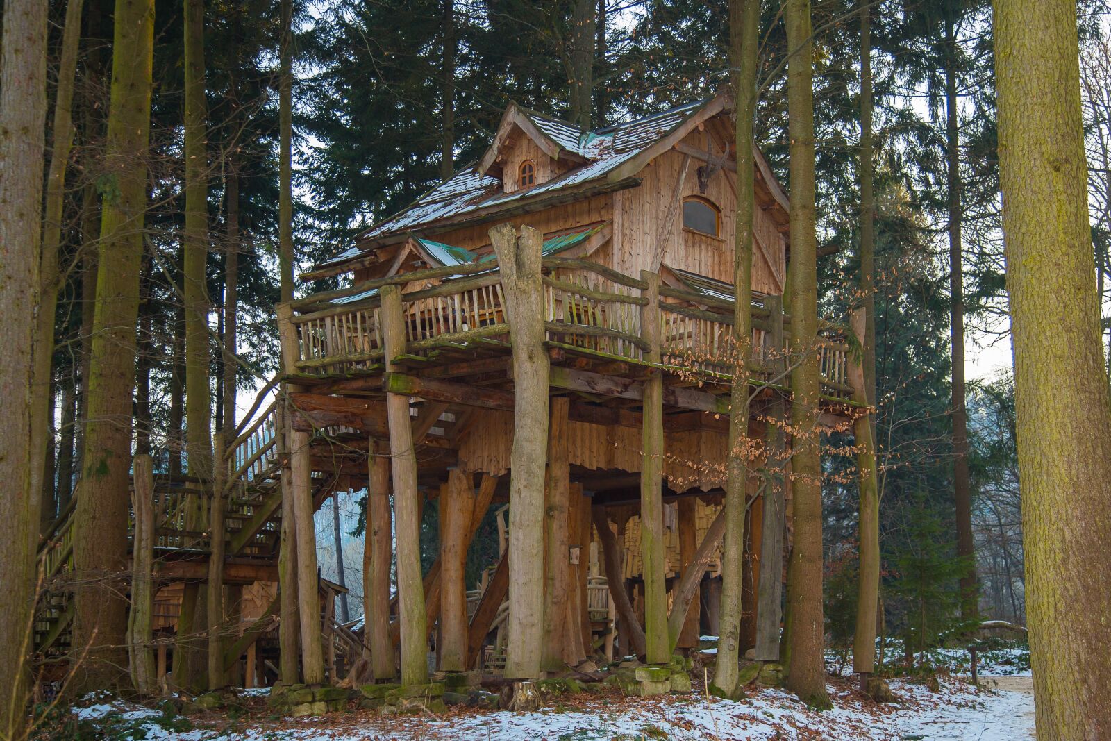 Canon EF 24-105mm F4L IS USM sample photo. Woodhouse, treehouse, tree hut photography