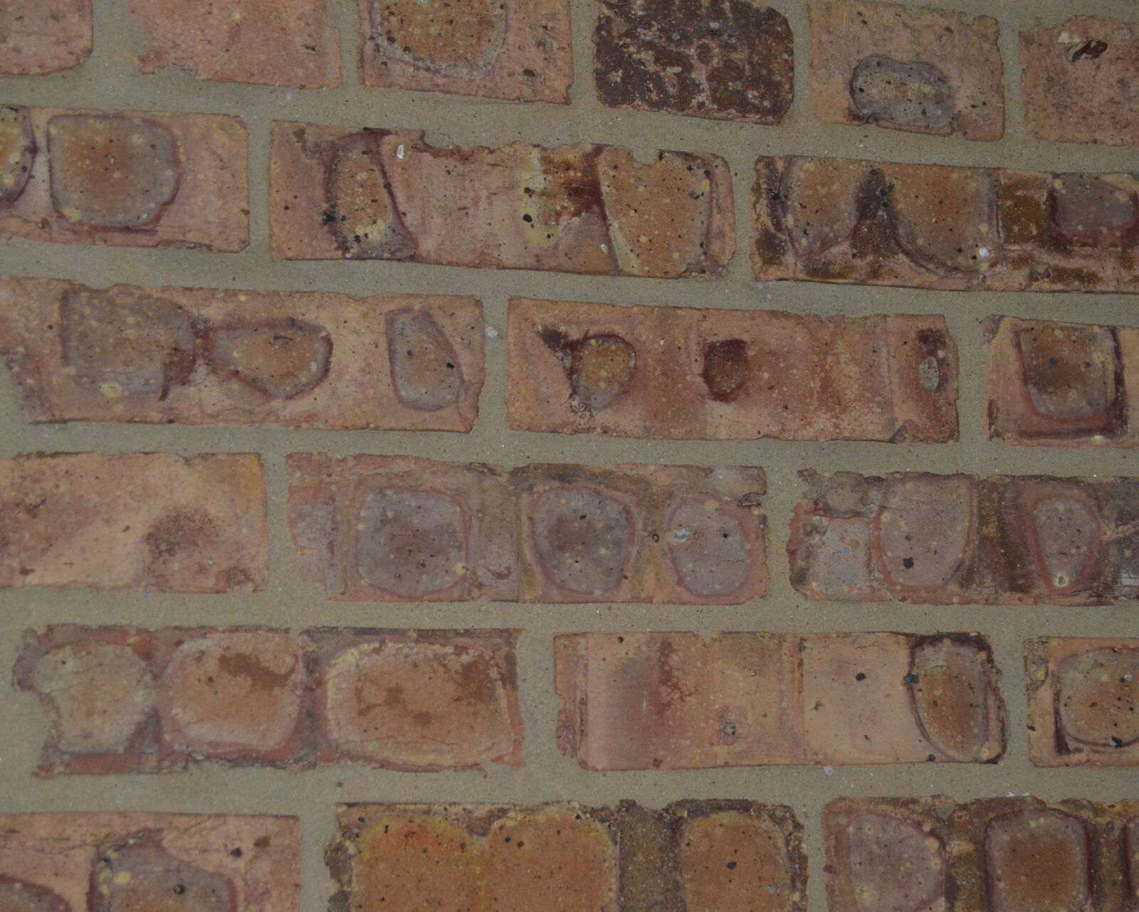 Nikon D3200 sample photo