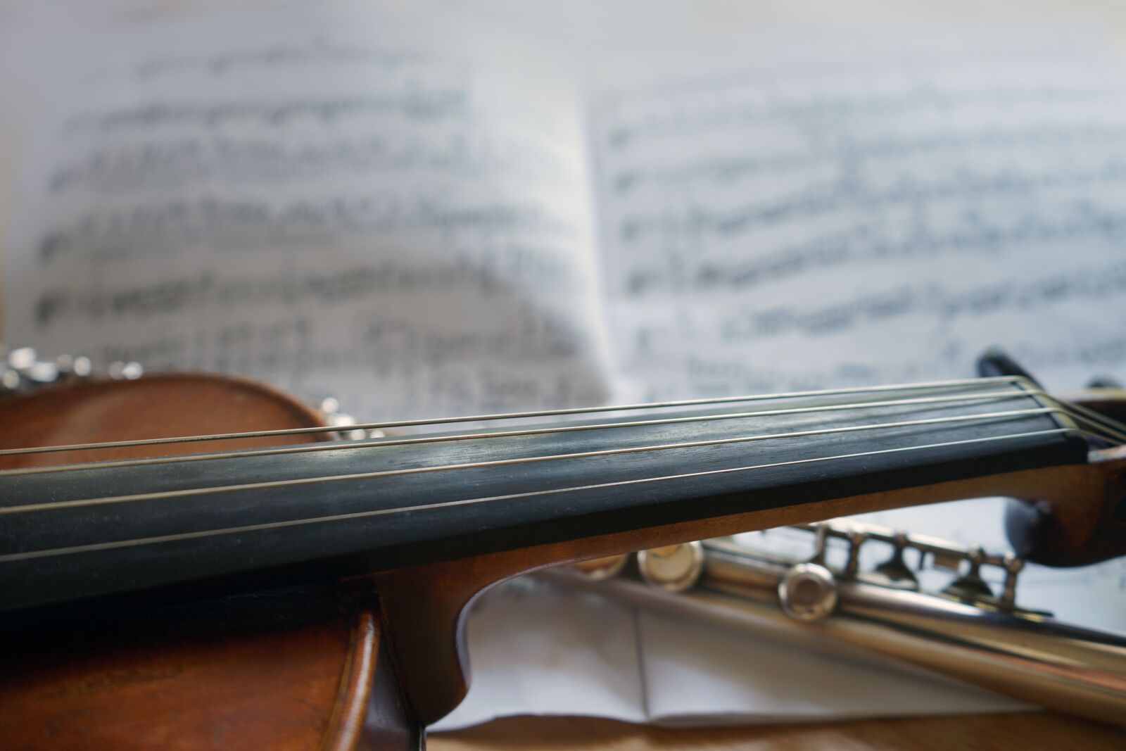 Sony a7 II sample photo. Violin, flute, music photography