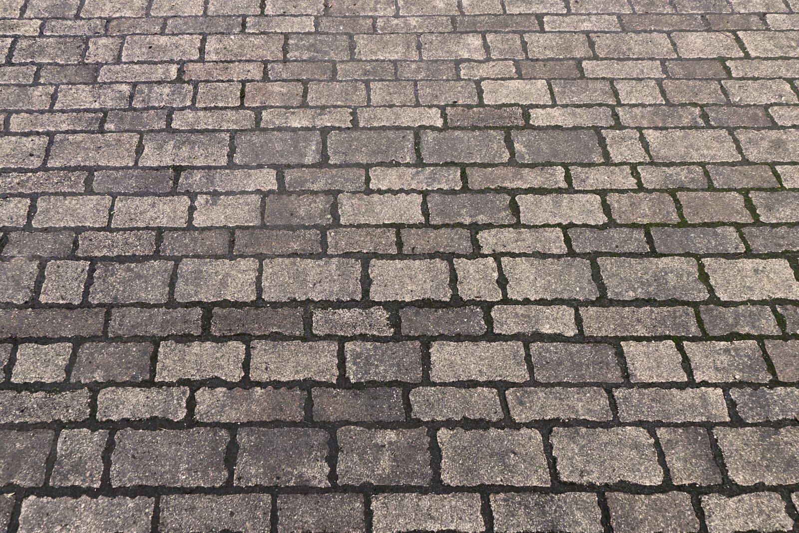 Panasonic Lumix DMC-FZ1000 sample photo. Patch, paving stone texture photography