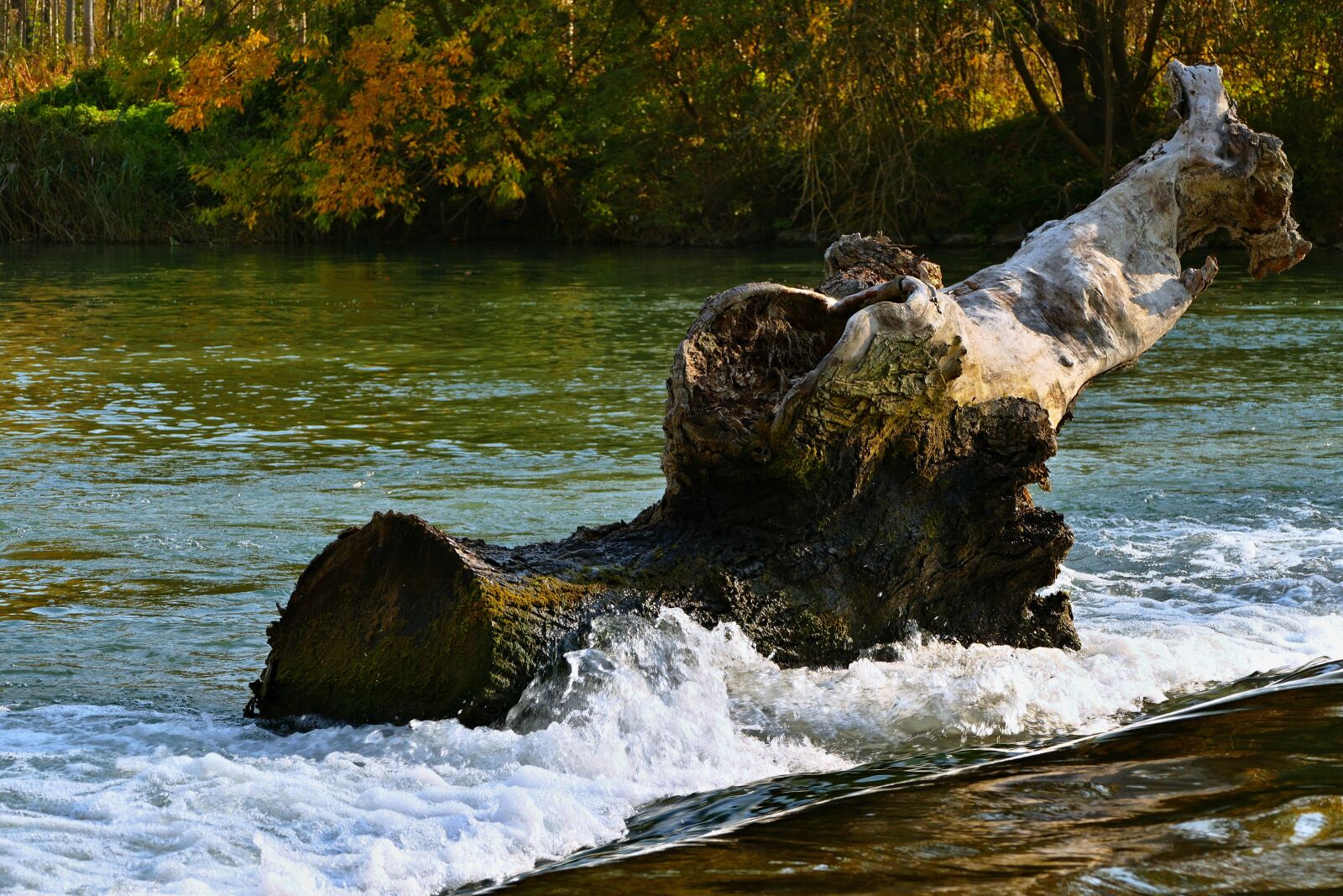 Panasonic Lumix DMC-FZ1000 sample photo. Water, stump, waterfall photography