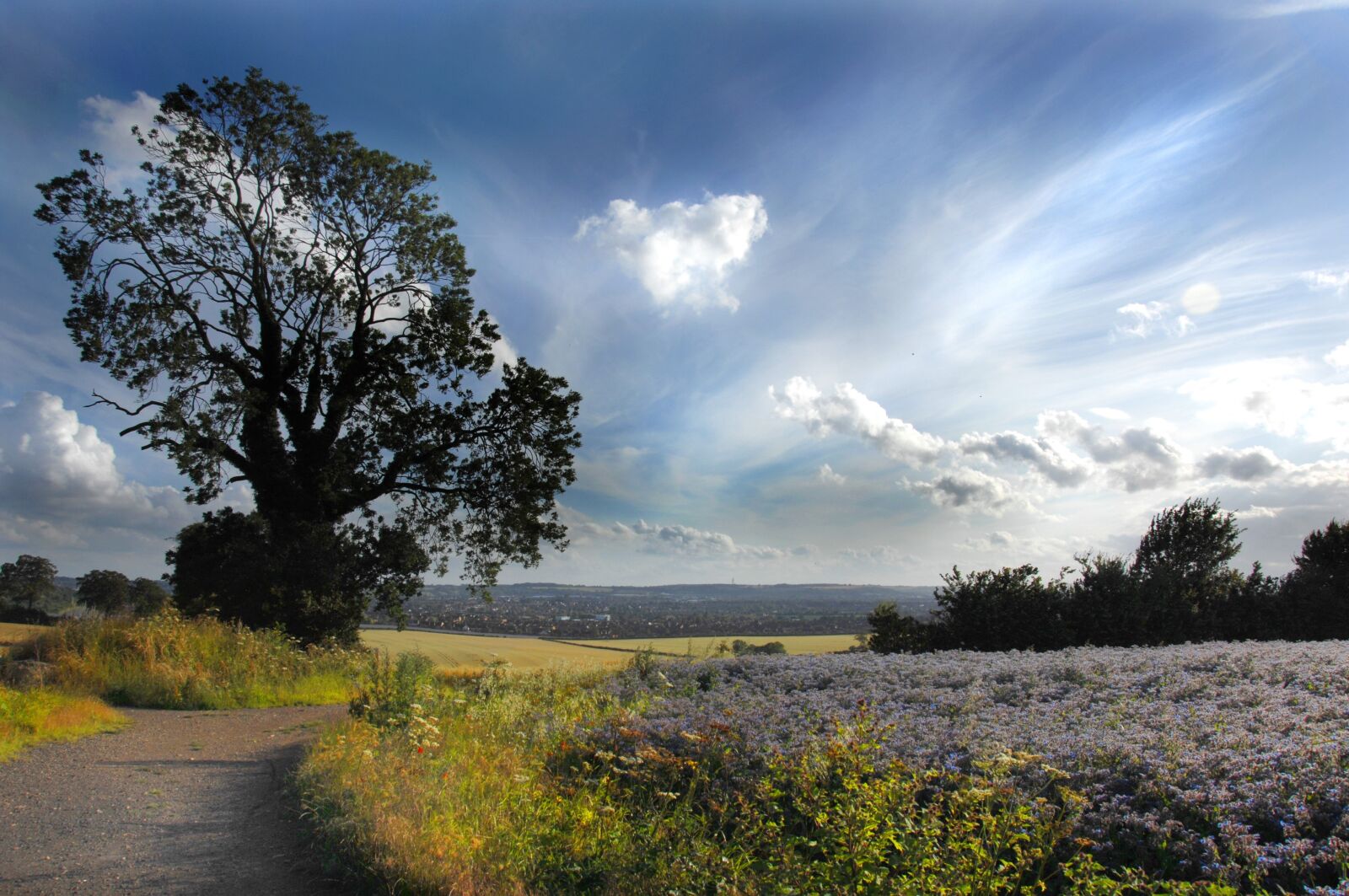 Nikon D2Xs sample photo. Landscape, fields, luton photography