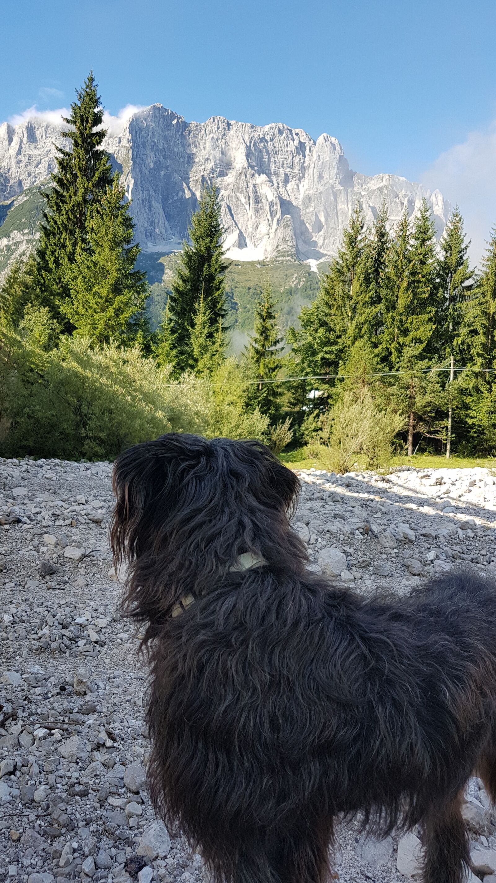 Samsung Galaxy S7 sample photo. Dog, mountains, hiking photography