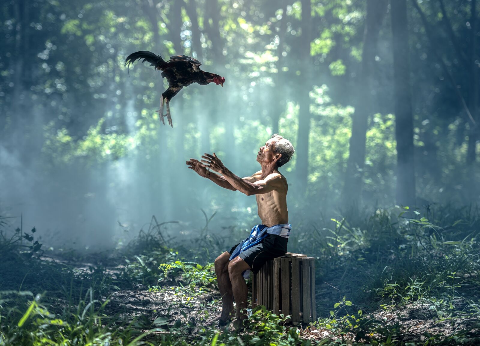 Nikon D810 sample photo. Chicken, old man, birds photography