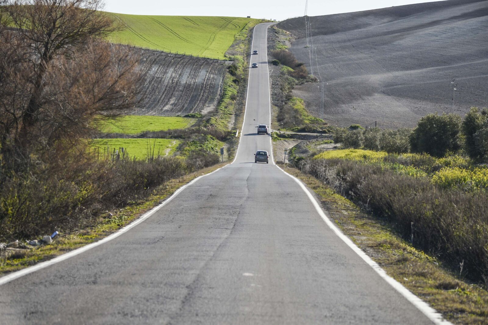 Nikon D610 sample photo. Road, guidance, nature photography