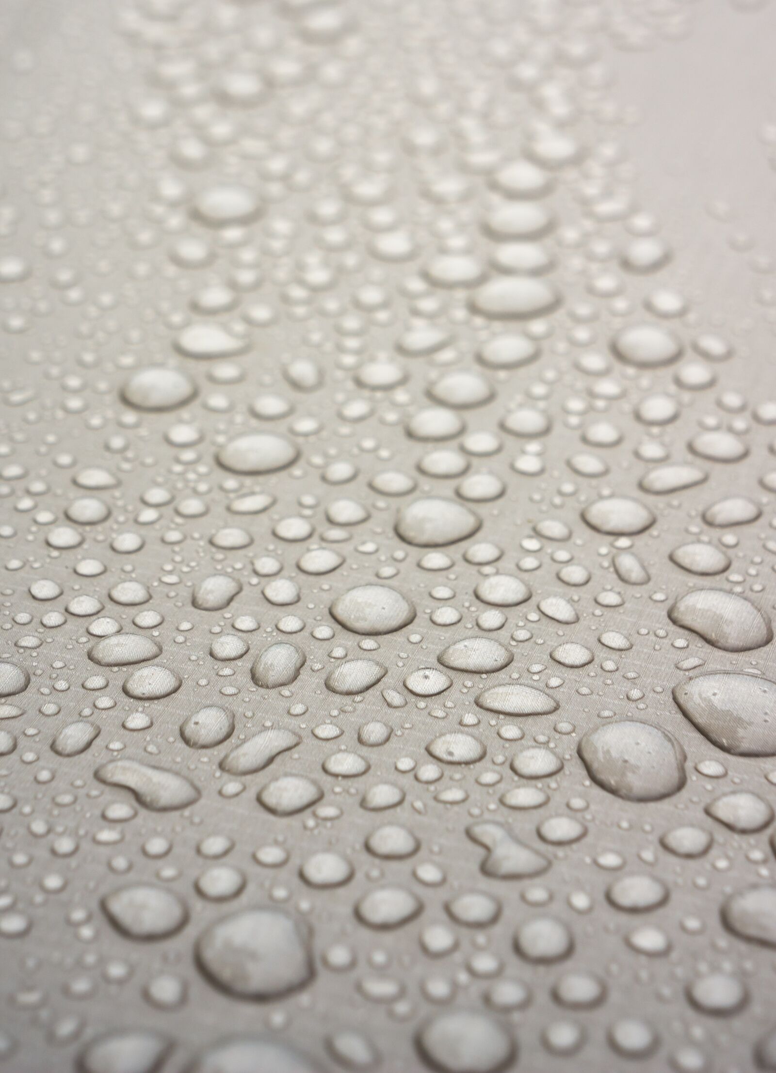 Sony Alpha NEX-5N sample photo. Trickle, dew, wet photography