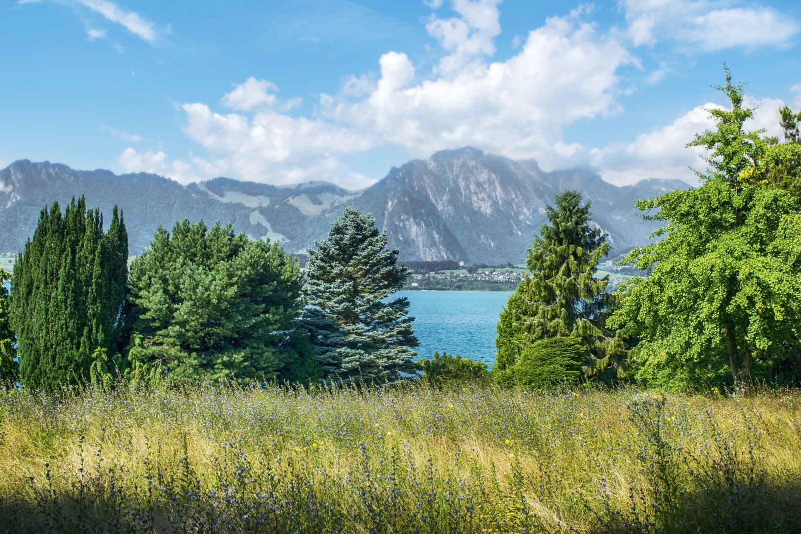 Nikon D3300 sample photo. Lake, switzerland, mountains photography