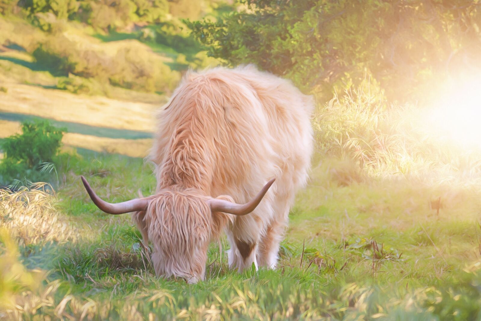 Nikon D3000 sample photo. Beef, meadow, graze photography