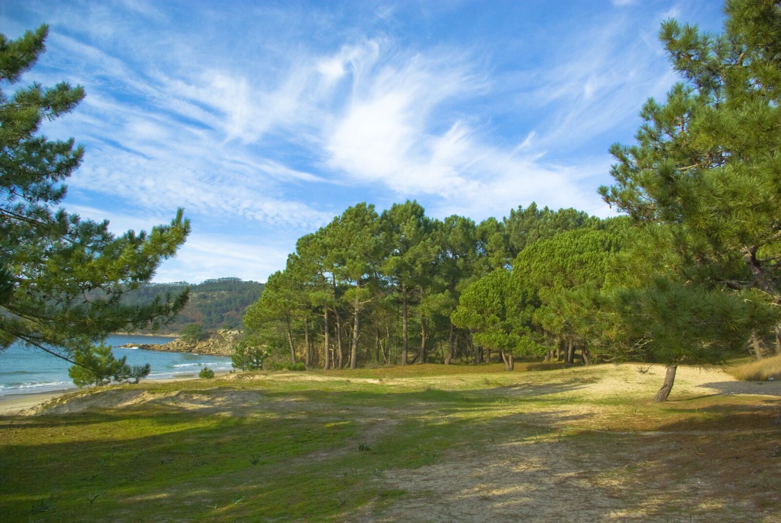 Pentax K10D sample photo. Forest, beach, sand photography