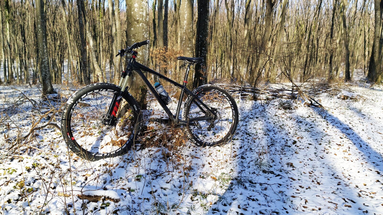 Xiaomi Mi A3 sample photo. Bicycle, forest, cycling photography
