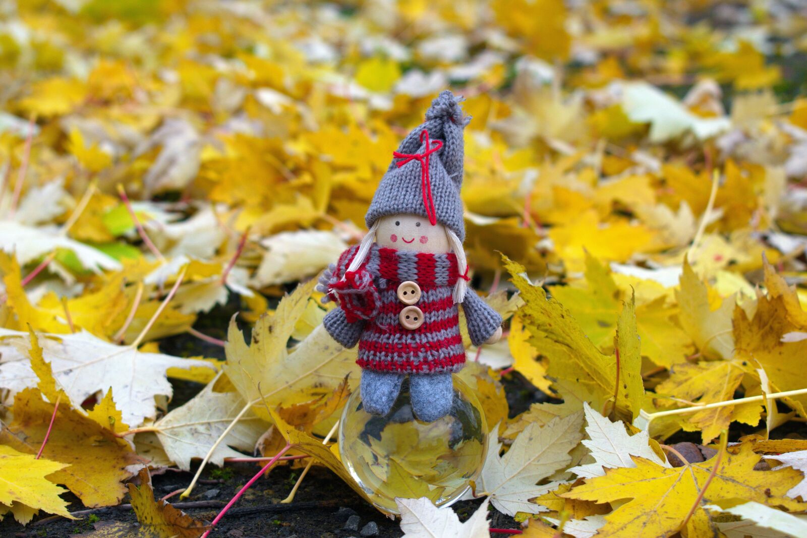 Nikon D3300 sample photo. Doll, leaves, autumn photography