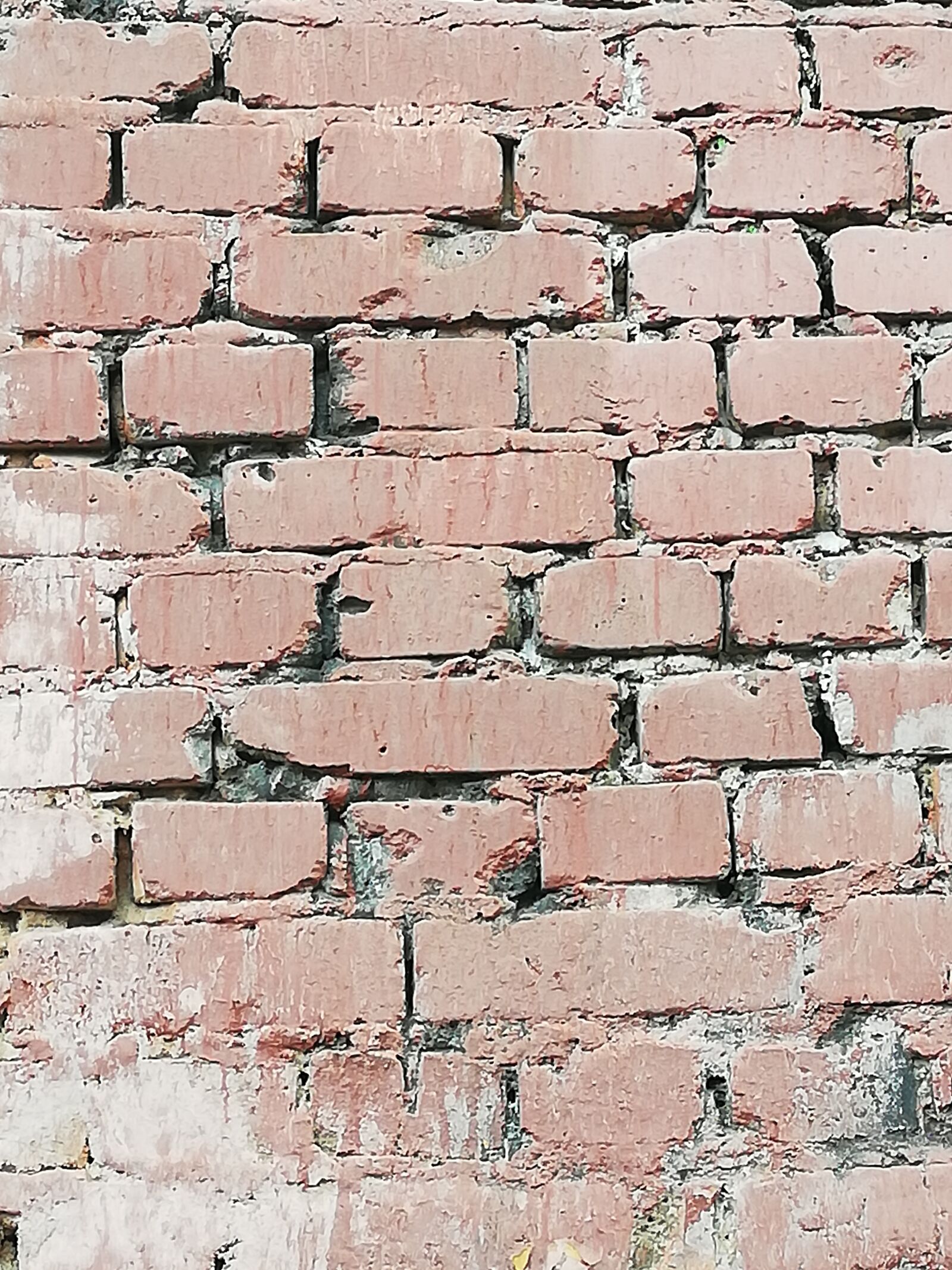HUAWEI P20 lite sample photo. Background, brick, clear photography