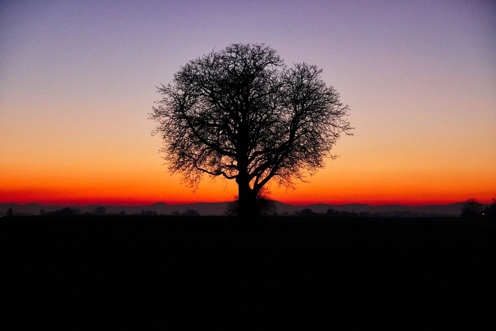 Sony E 18-135mm F3.5-5.6 OSS sample photo. Sunset, field, tree photography