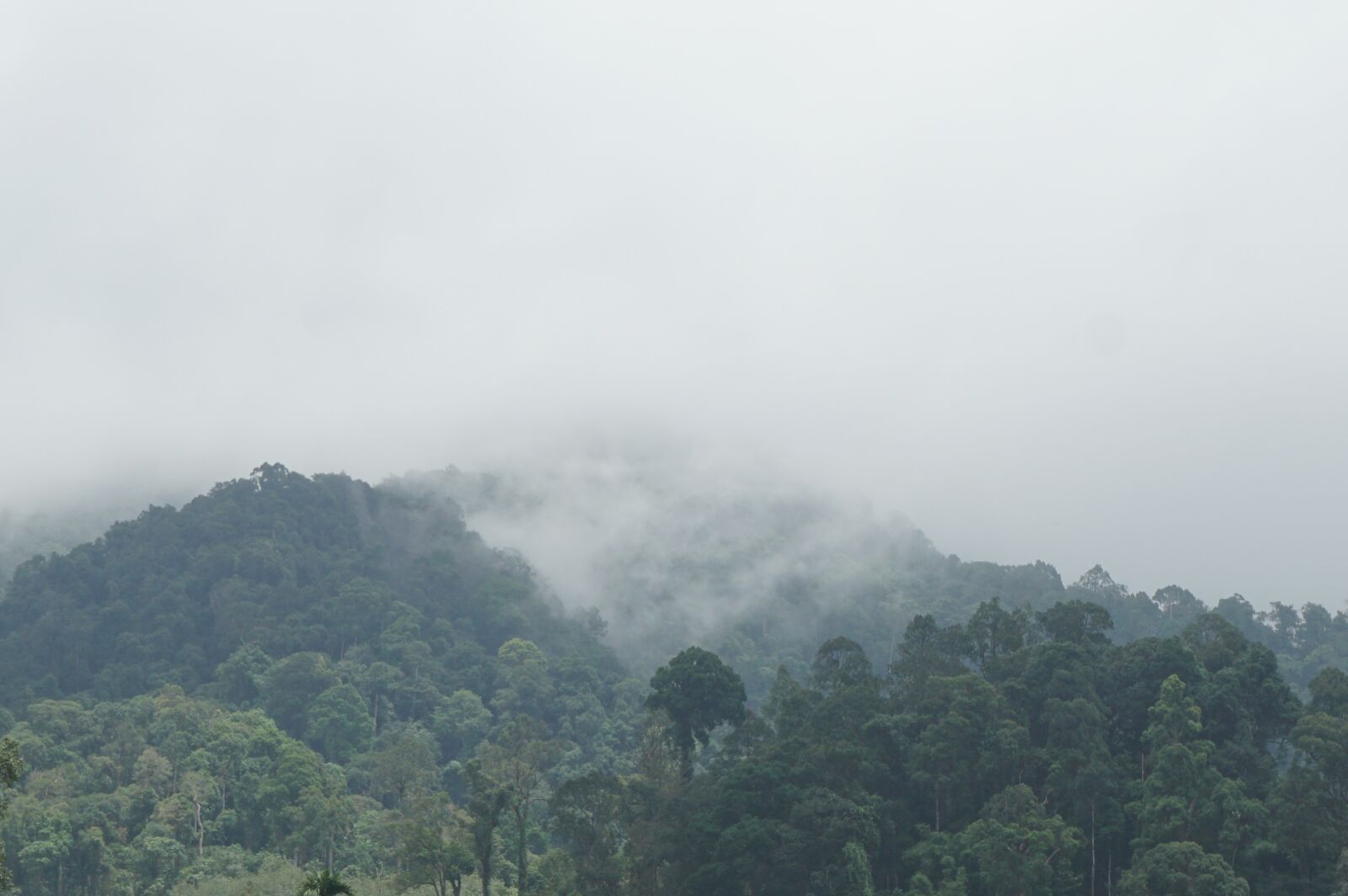Sony E 16-50mm F3.5-5.6 PZ OSS sample photo. Mountains, the forests, nature photography