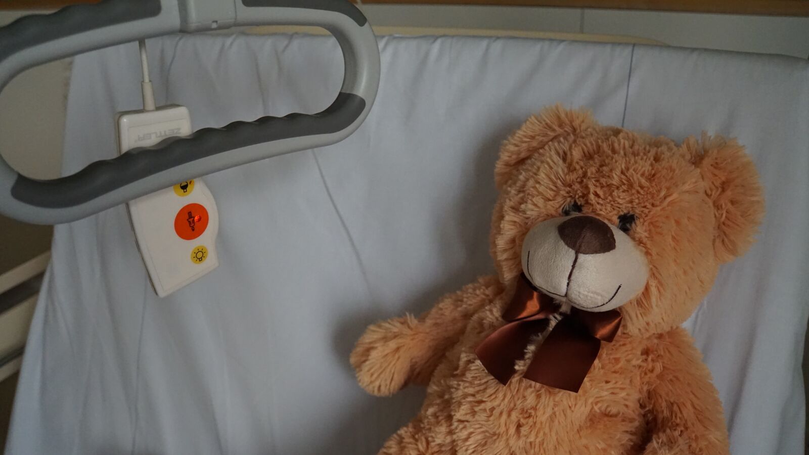 Sony a6000 sample photo. Hospital, teddy, ill photography