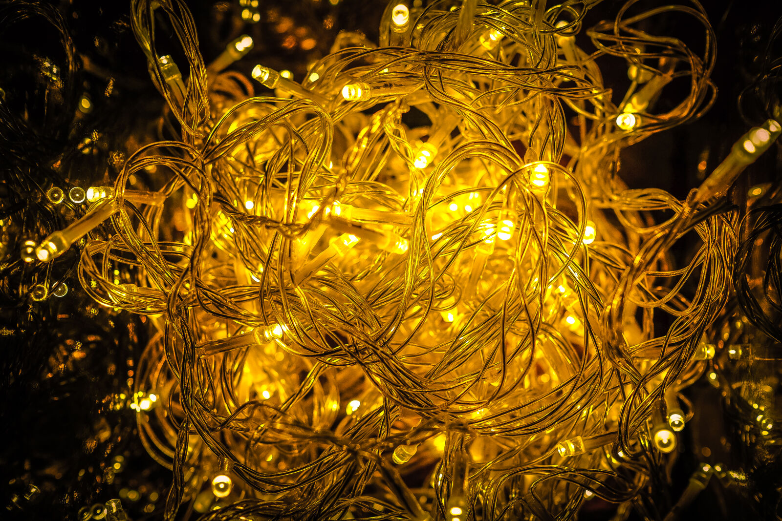 Fujifilm XF 23mm F1.4 R sample photo. Close, up, of, yellow photography