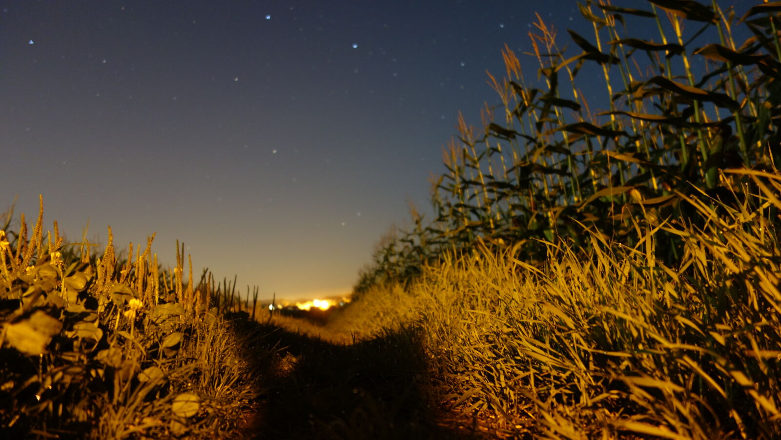 Sony Cyber-shot DSC-RX100 sample photo. Fields, germany, night, stars photography
