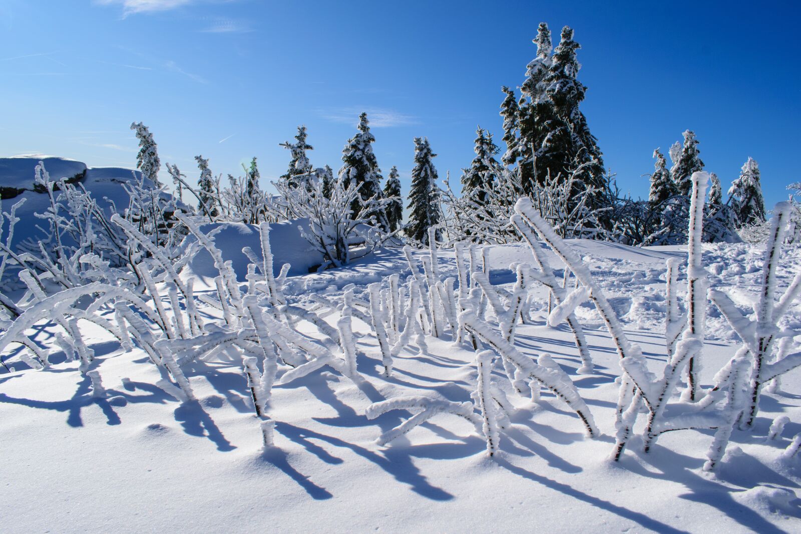 Nikon D5300 sample photo. Great arber, bavarian forest photography