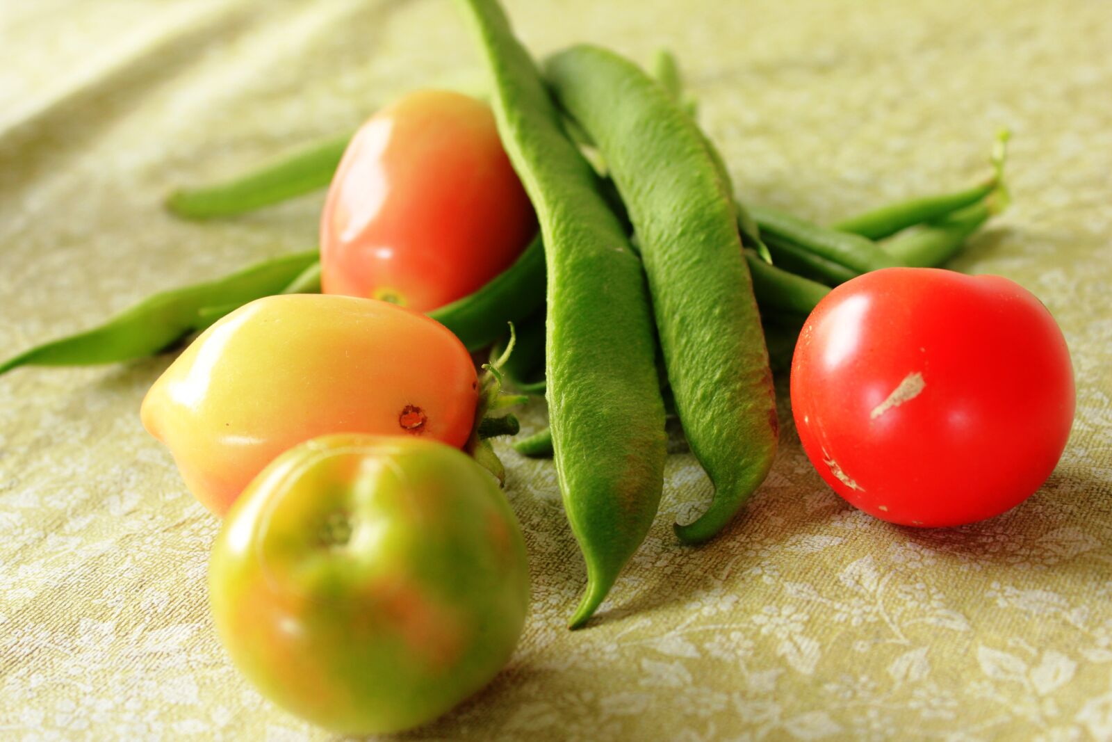Canon EOS 550D (EOS Rebel T2i / EOS Kiss X4) sample photo. Vegetables, tomato, healthy photography