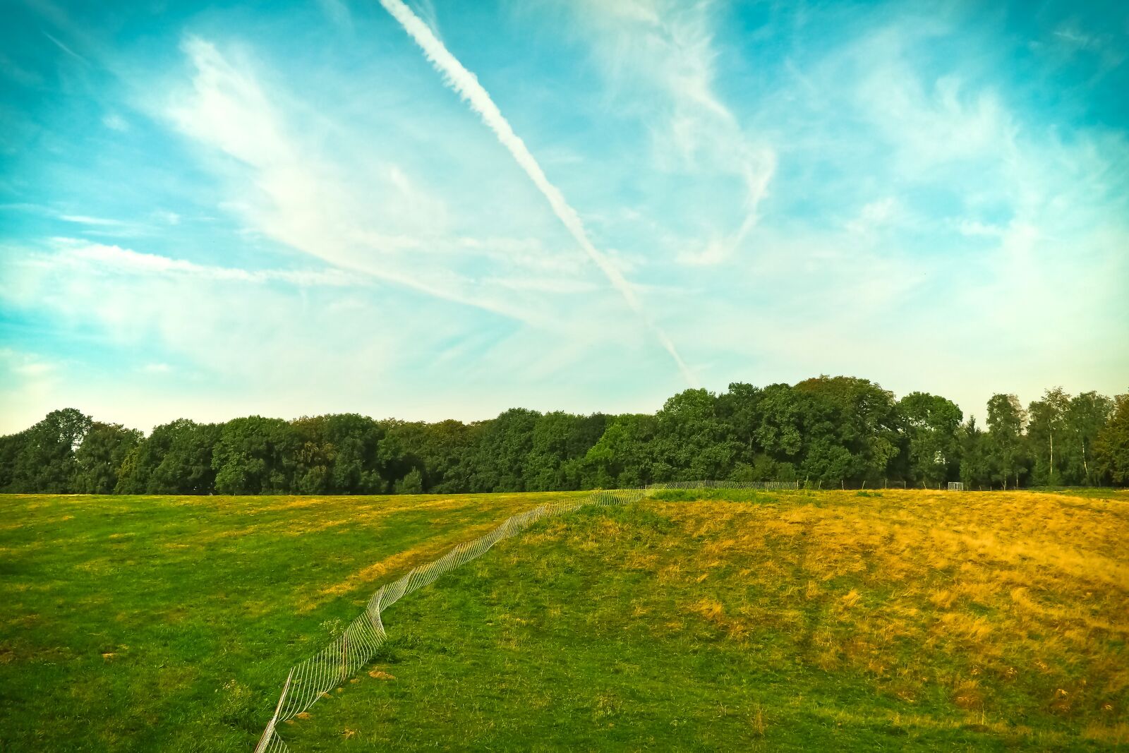 Olympus OM-D E-M10 sample photo. Landscape, nature, meadow photography