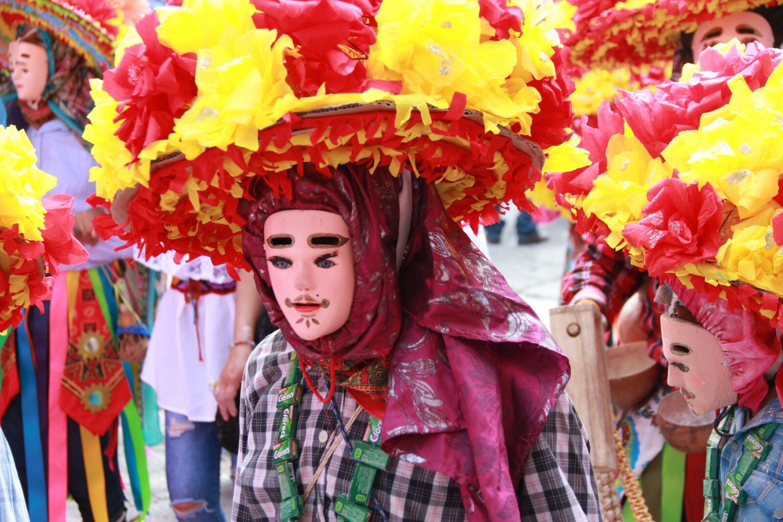 Canon EF-S 18-135mm F3.5-5.6 IS sample photo. Mexico, festival, mexican photography