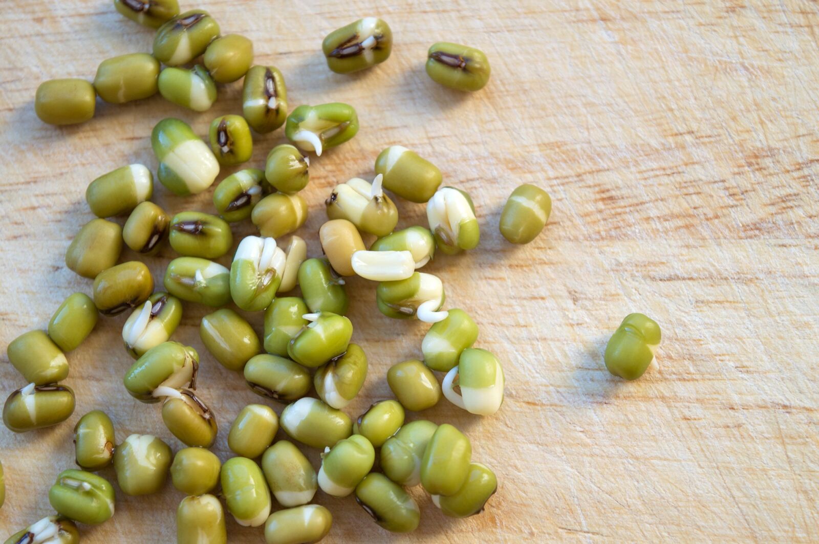Nikon D3200 sample photo. Mash, sprouts, golden gram photography