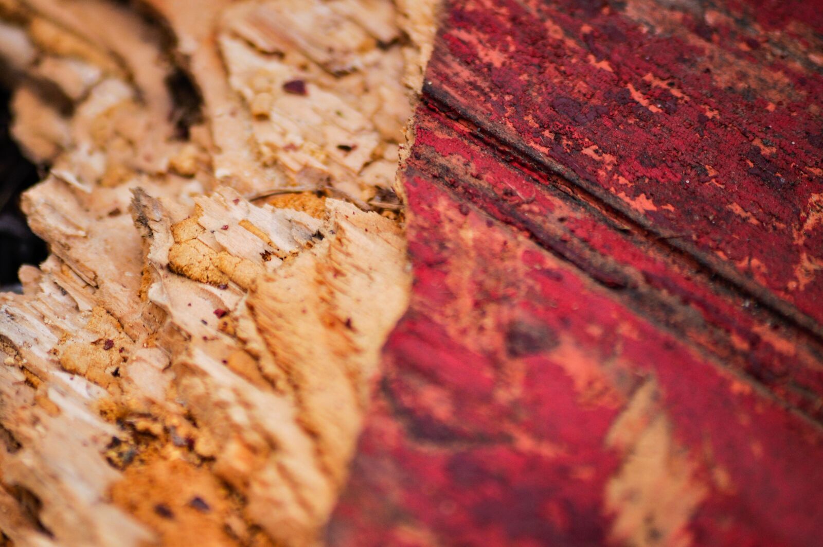 Nikon D90 sample photo. Texture, old, red photography