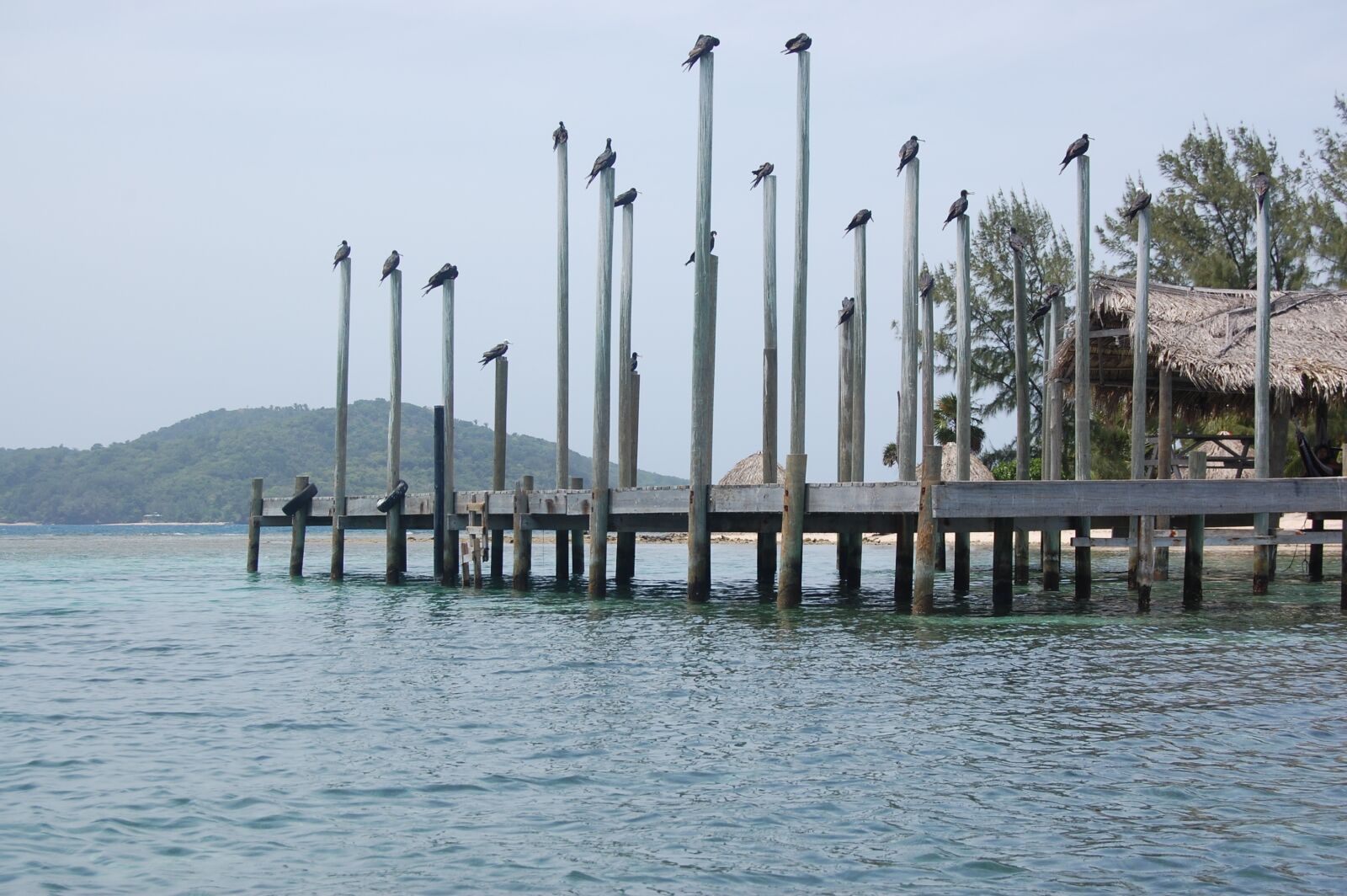 Nikon D40 sample photo. Dock, ocean, pier photography