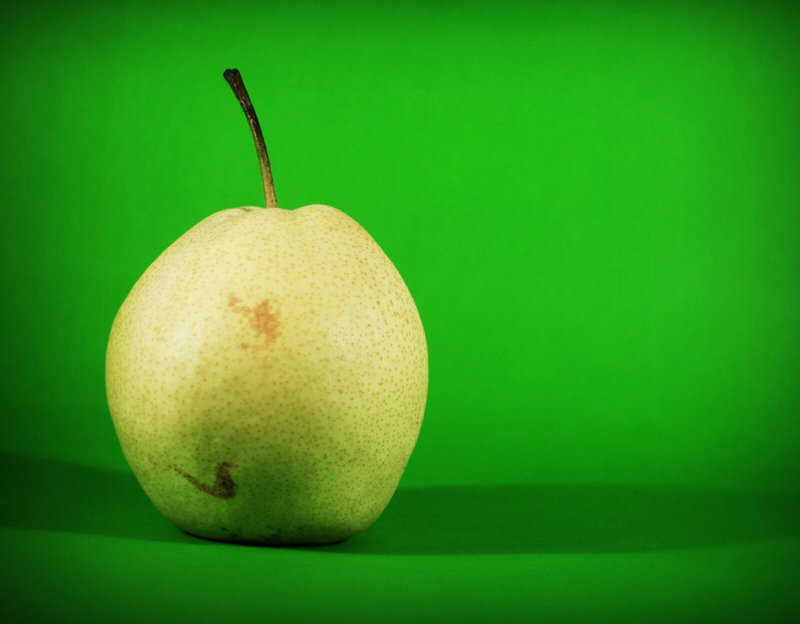 Olympus E-300 (EVOLT E-300) sample photo. Pear, asian, nashi photography