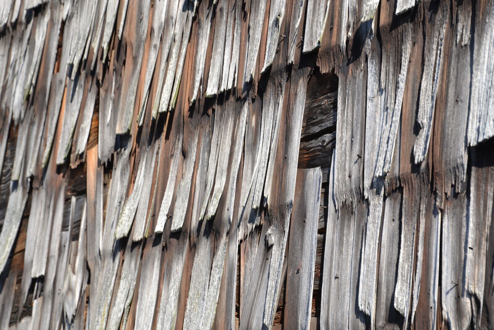 Nikon D3100 sample photo. Wood, old, wood shingles photography