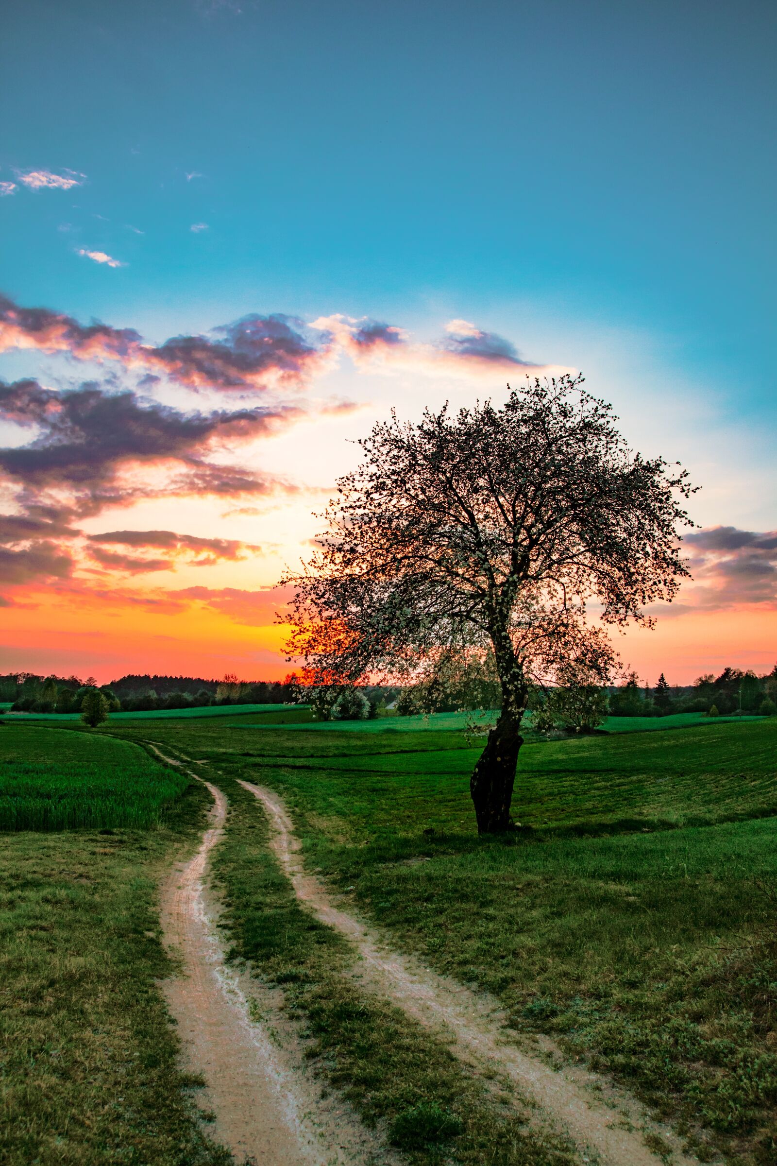 Tamron SP AF 17-50mm F2.8 XR Di II LD Aspherical (IF) sample photo. Landscape, sunset, west photography