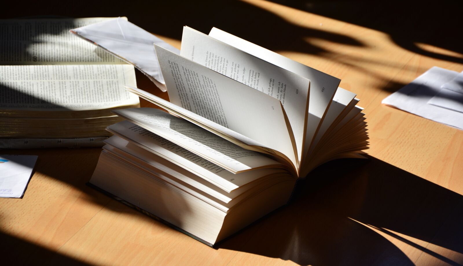 Nikon D5200 sample photo. Book, read, literature photography