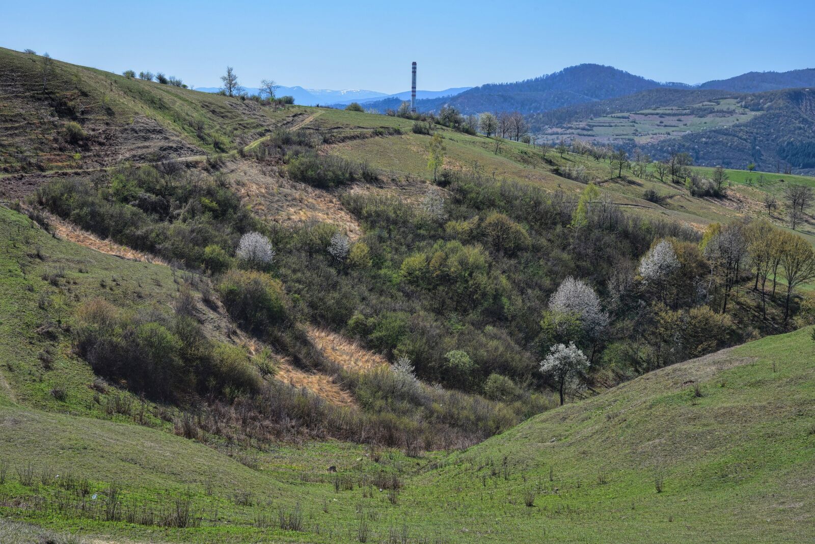 Nikon D750 sample photo. Meadow, landscape, nature photography