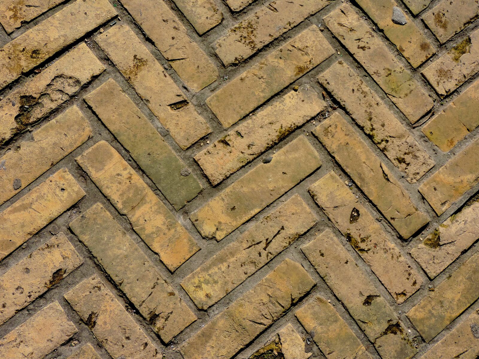 Nikon Coolpix P520 sample photo. Brick, texture, surface, architecture photography