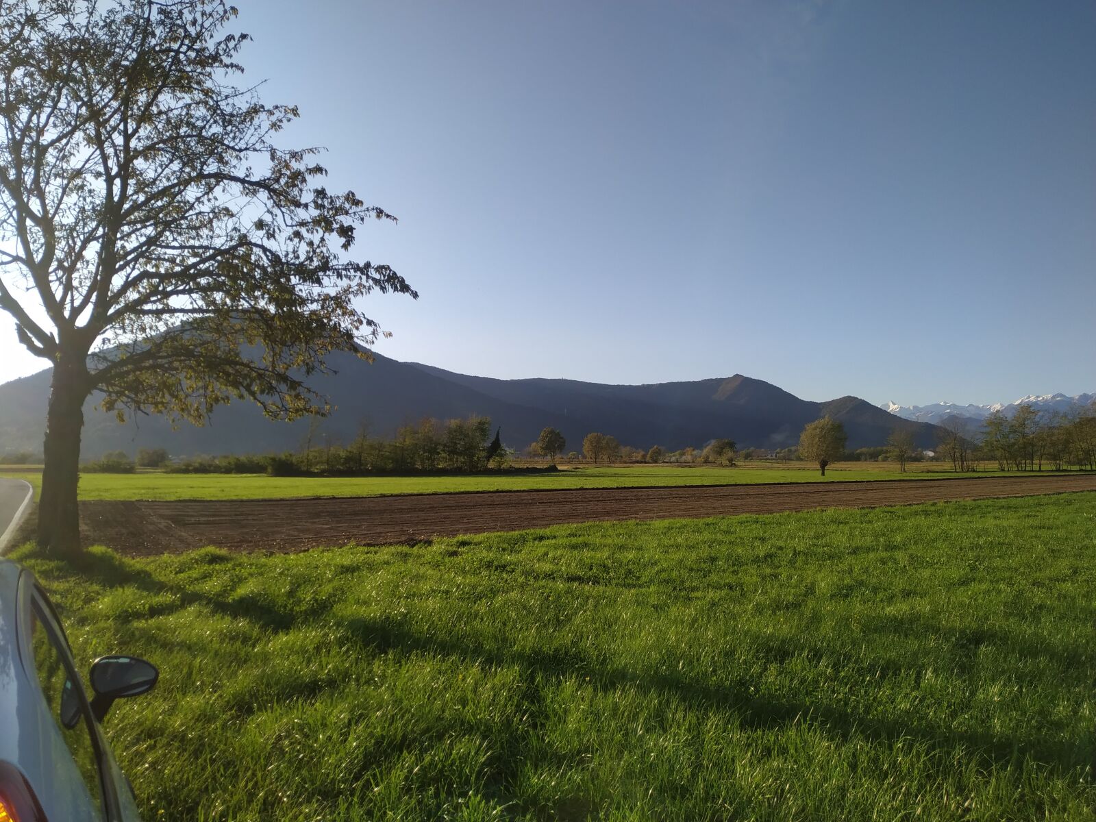 Xiaomi MI 8 Lite sample photo. Wheat field, piedmont, alps photography