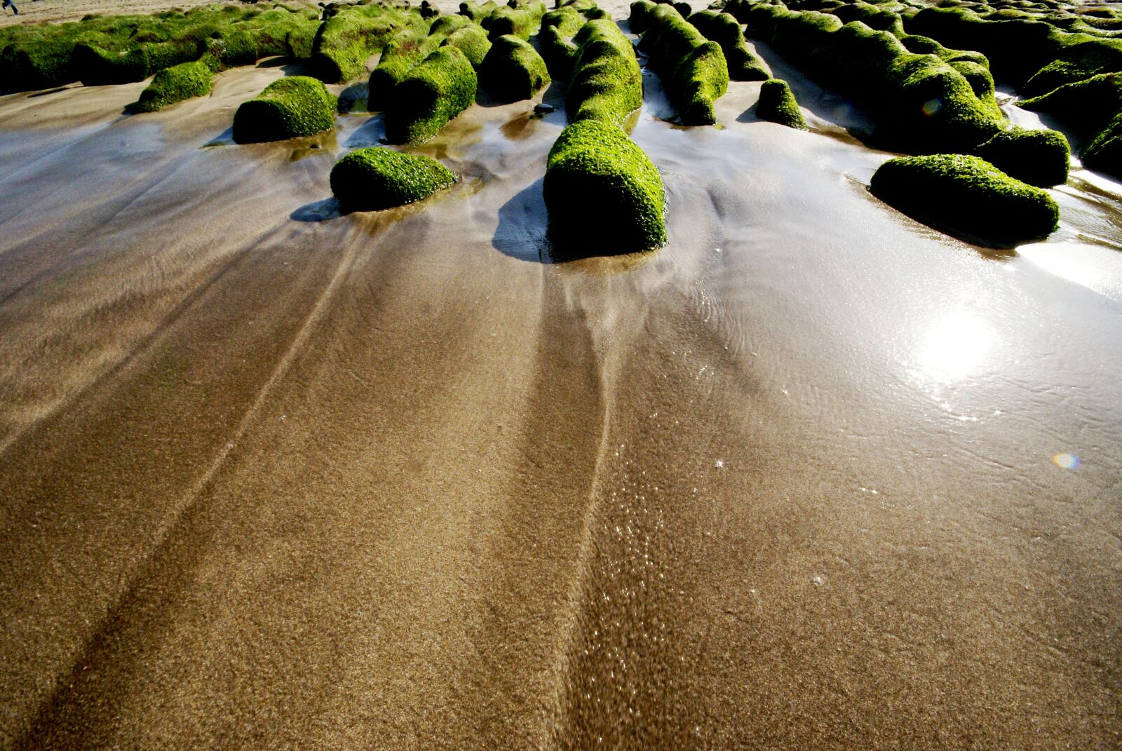 Sony Alpha DSLR-A100 sample photo. Green algae, seaside, landscape photography