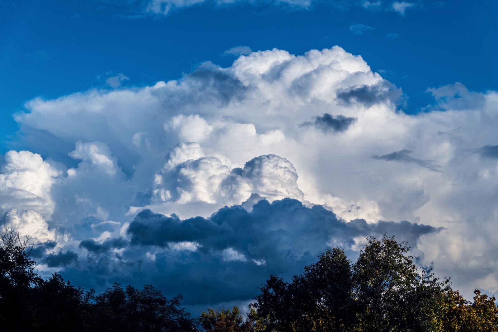 Nikon D850 sample photo. The sky, clouds, blue photography