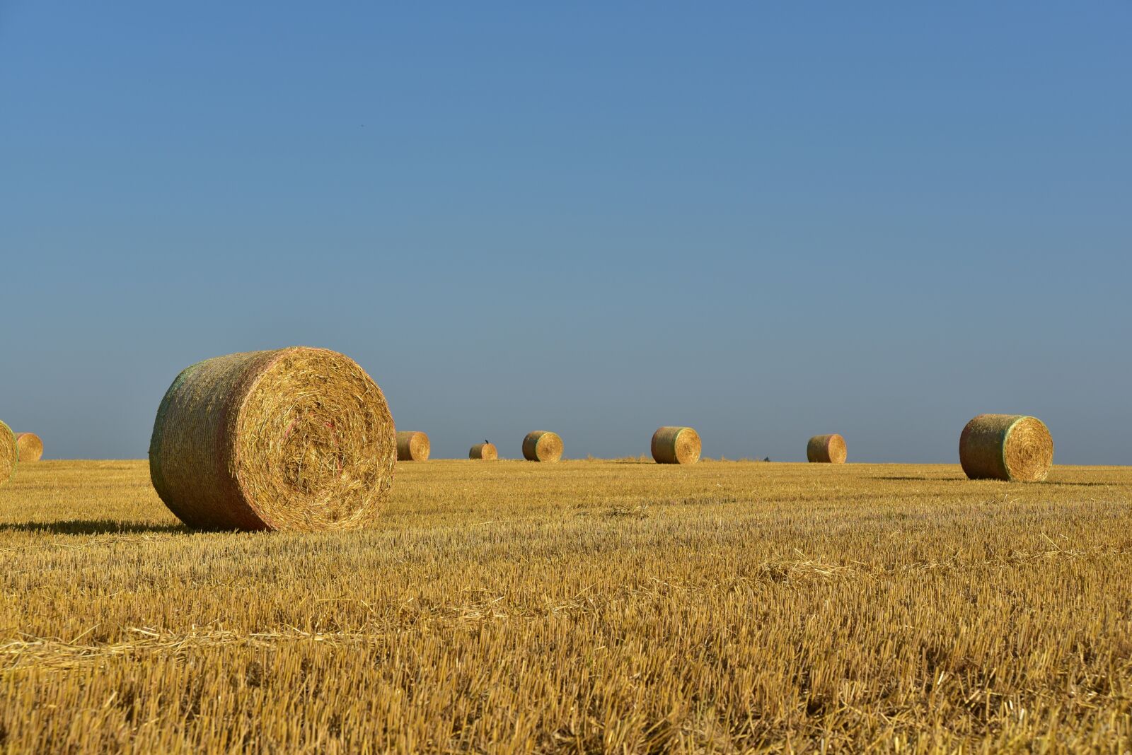 Nikon D750 sample photo. Hay, straw bales, hay photography