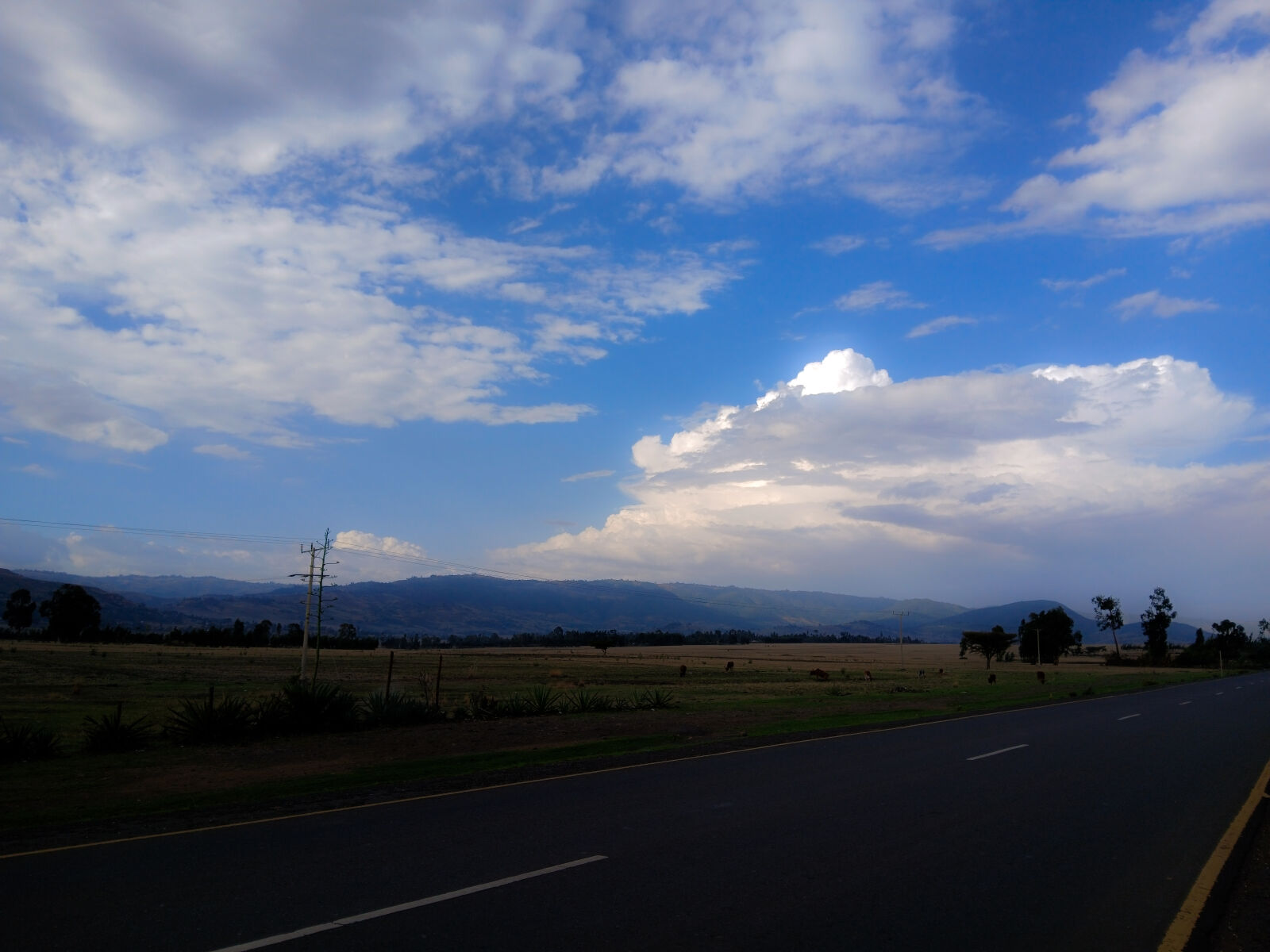Samsung Galaxy A15 sample photo